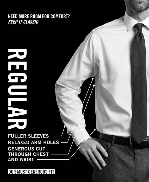 Kenneth Cole Men's Dress Shirt Regular Fit Solid